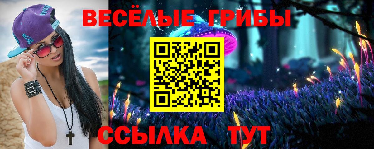 Псилоцибиновые грибы мицелий  Псилоцибиновые грибы Psilocybine cubensis  Коряжма  Вход с VPN 